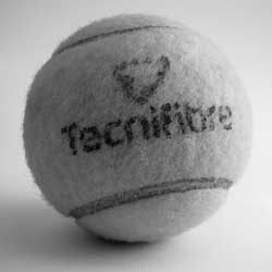 哪里能买到正版的免费测试呼死你